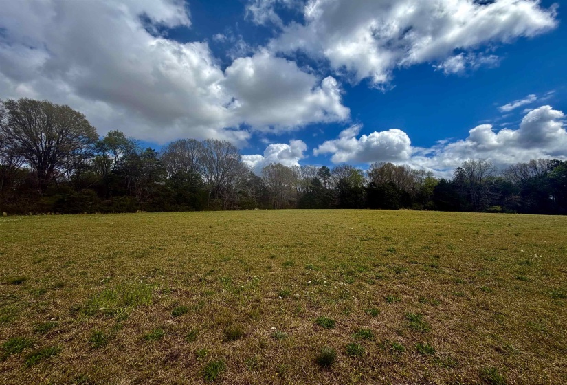 8.19 AC FEATHERS CHAPEL DR, Somerville, Tennessee 38068, ,Land,For Sale,FEATHERS CHAPEL,10218293