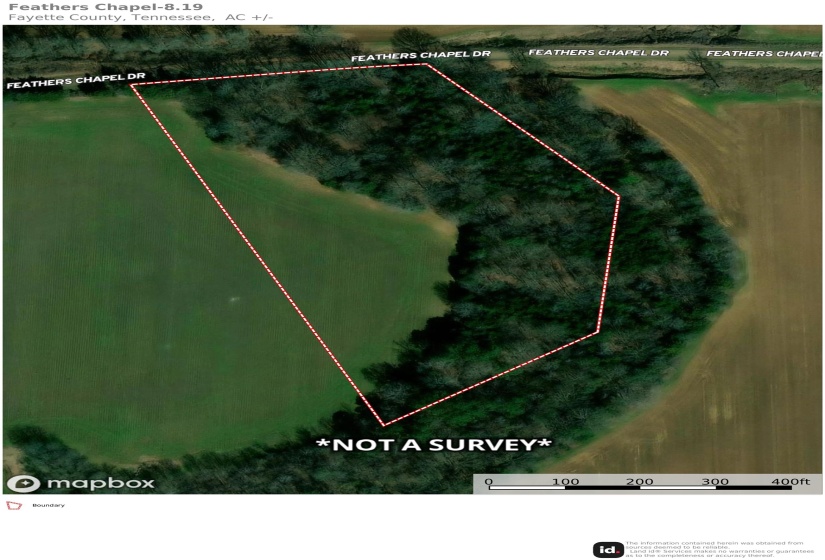 8.19 AC FEATHERS CHAPEL DR, Somerville, Tennessee 38068, ,Land,For Sale,FEATHERS CHAPEL,10218293