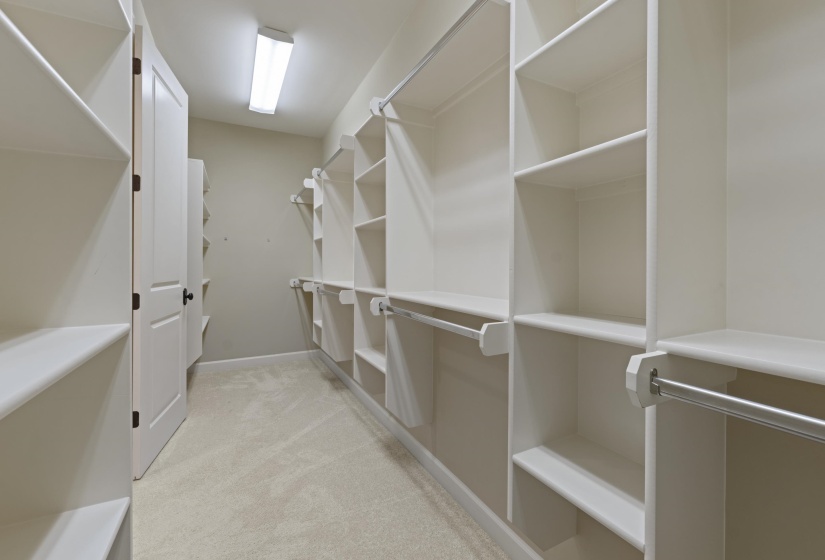 Walk in closet featuring light colored carpet