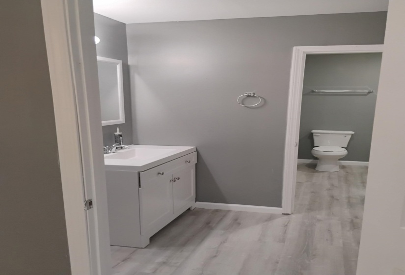 Half bath with vanity and light wood finished floors
