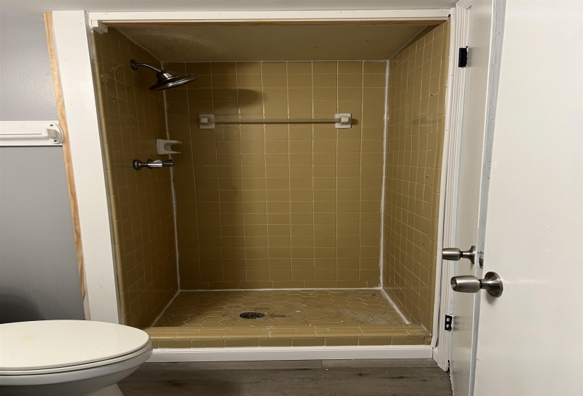 Bathroom with a shower stall and dark wood-style floors