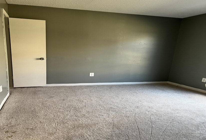 Unfurnished room with carpet floors and a textured ceiling