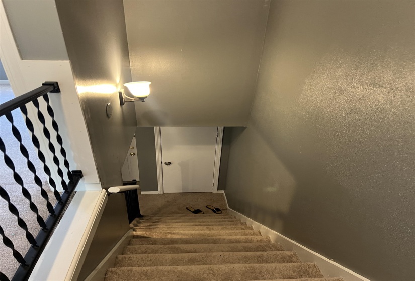 Stairway with carpet and baseboards
