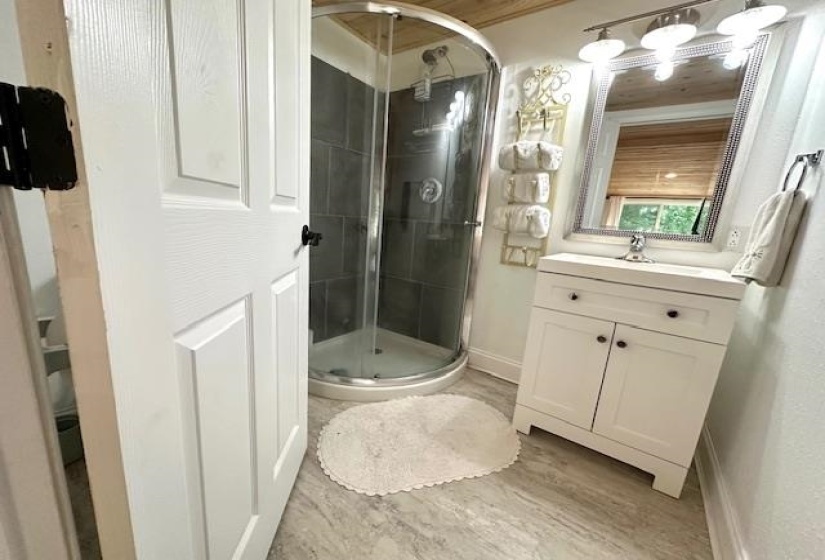 Bathroom featuring wood-type flooring, walk in shower, and vanity