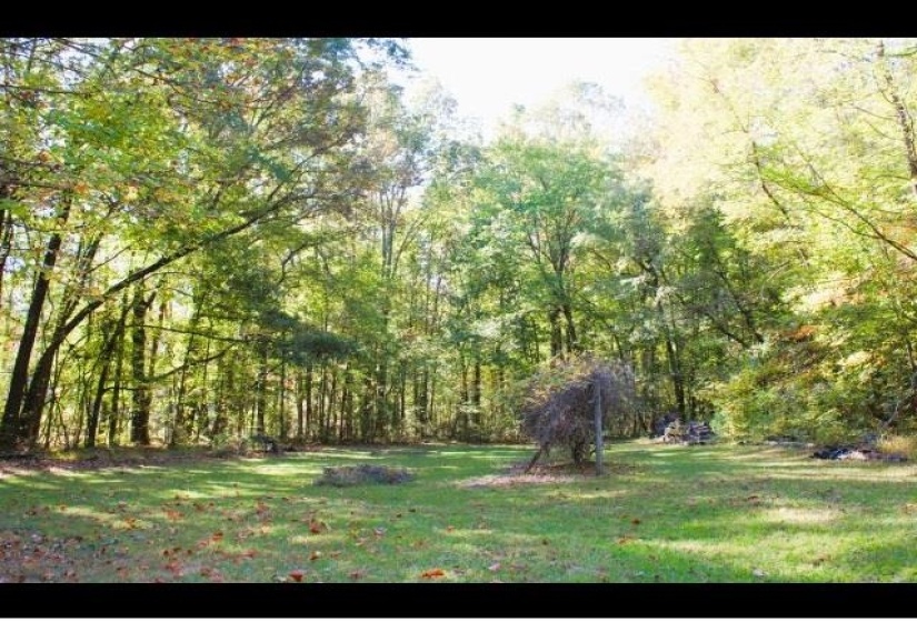 653 IRONWOOD DR, Unicorp/Saulsbury, Tennessee 38067, 3 Bedroom Bedrooms, 10 Room Rooms,2 BathroomBathrooms,Residential,For Sale,IRONWOOD,0,10218414