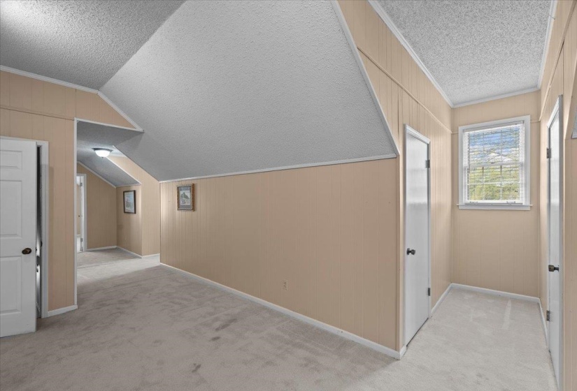 Bonus room featuring wooden walls and light colored carpet