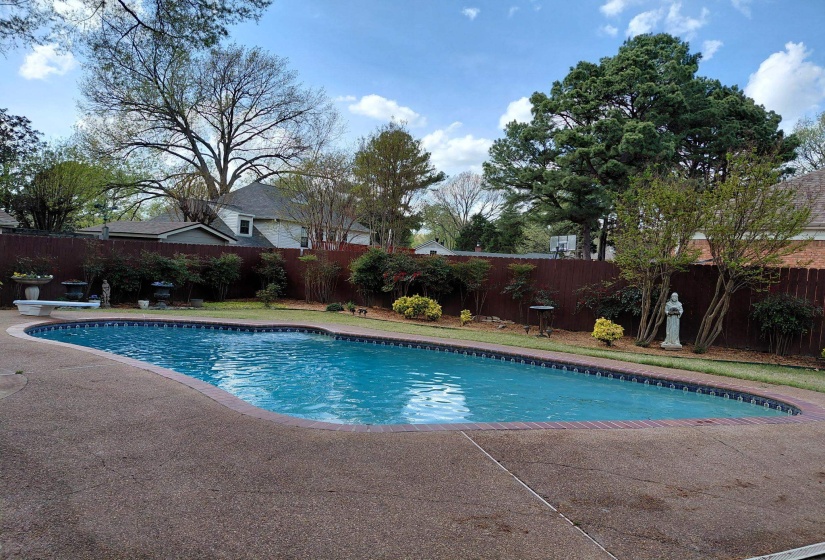 Backyard oasis featuring an in-ground swimming pool with a concrete surround