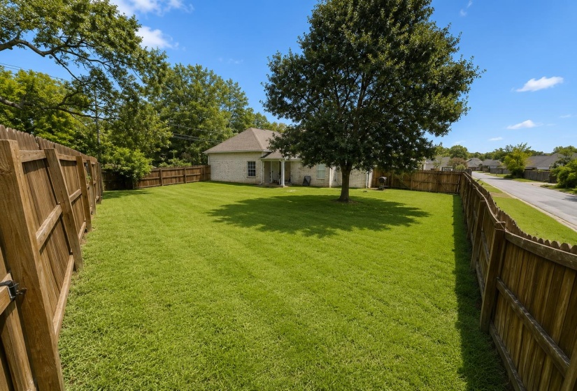 Expansive fenced backyard featuring a substantial lawn area, mature shade tree, and privacy fencing