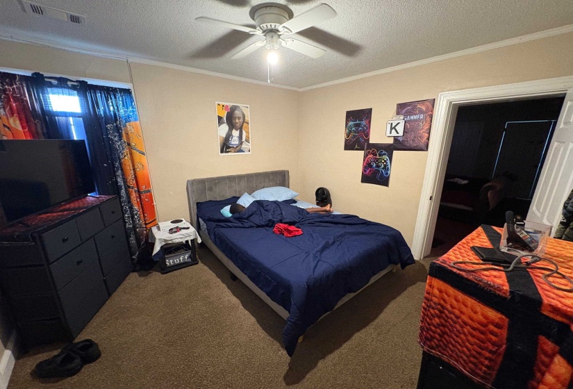 Carpeted room featuring a ceiling fan, crown molding, and a window with dark curtains