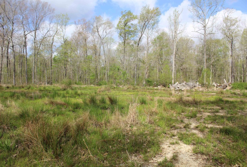 000 ESTANAULA RD, Brownsville, Tennessee 38012, ,Land,For Sale,ESTANAULA,10218565