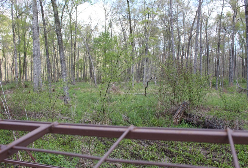 000 ESTANAULA RD, Brownsville, Tennessee 38012, ,Land,For Sale,ESTANAULA,10218565