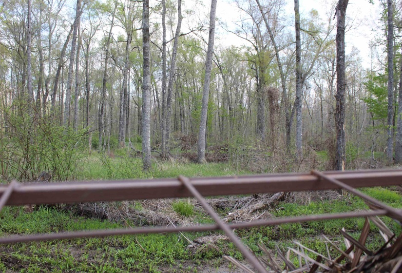 000 ESTANAULA RD, Brownsville, Tennessee 38012, ,Land,For Sale,ESTANAULA,10218565