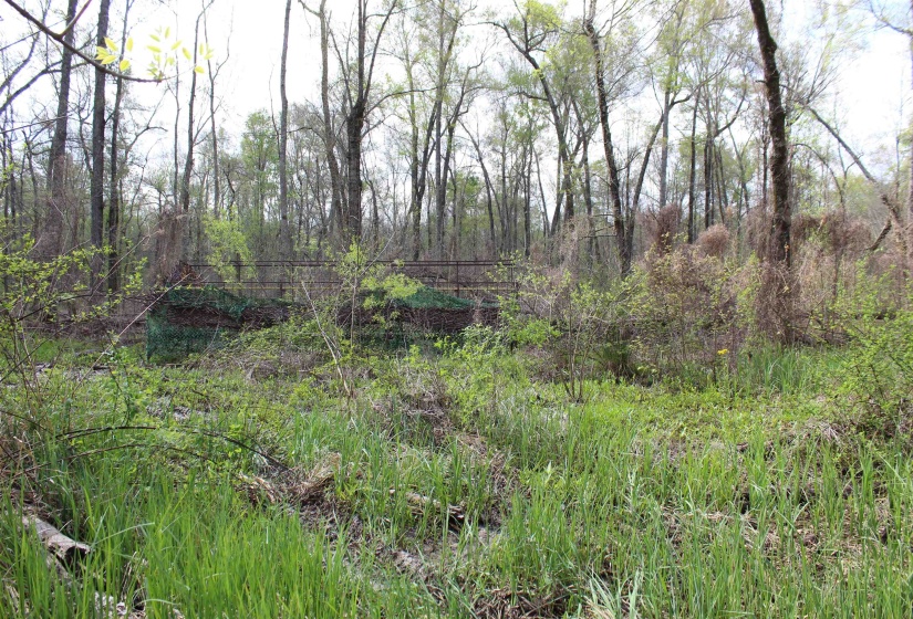 000 ESTANAULA RD, Brownsville, Tennessee 38012, ,Land,For Sale,ESTANAULA,10218565