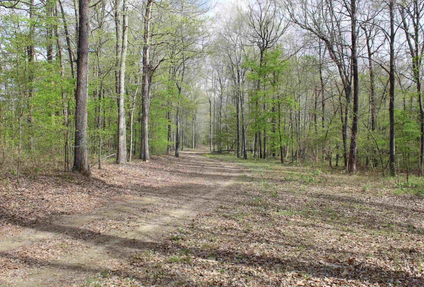 000 ESTANAULA RD, Brownsville, Tennessee 38012, ,Land,For Sale,ESTANAULA,10218565