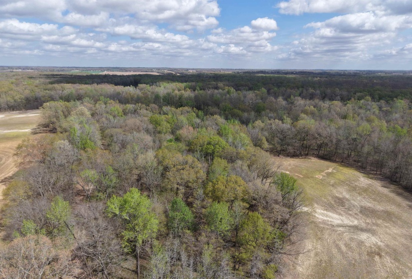 000 ESTANAULA RD, Brownsville, Tennessee 38012, ,Land,For Sale,ESTANAULA,10218565