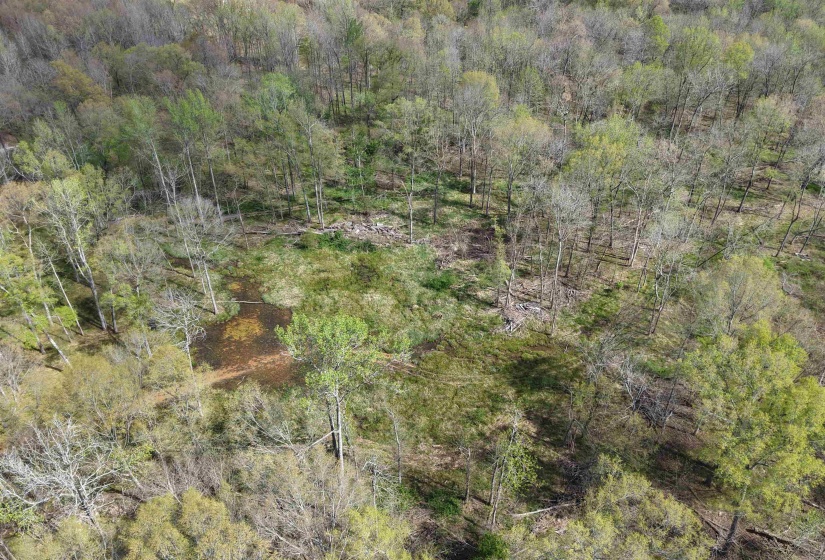 000 ESTANAULA RD, Brownsville, Tennessee 38012, ,Land,For Sale,ESTANAULA,10218565