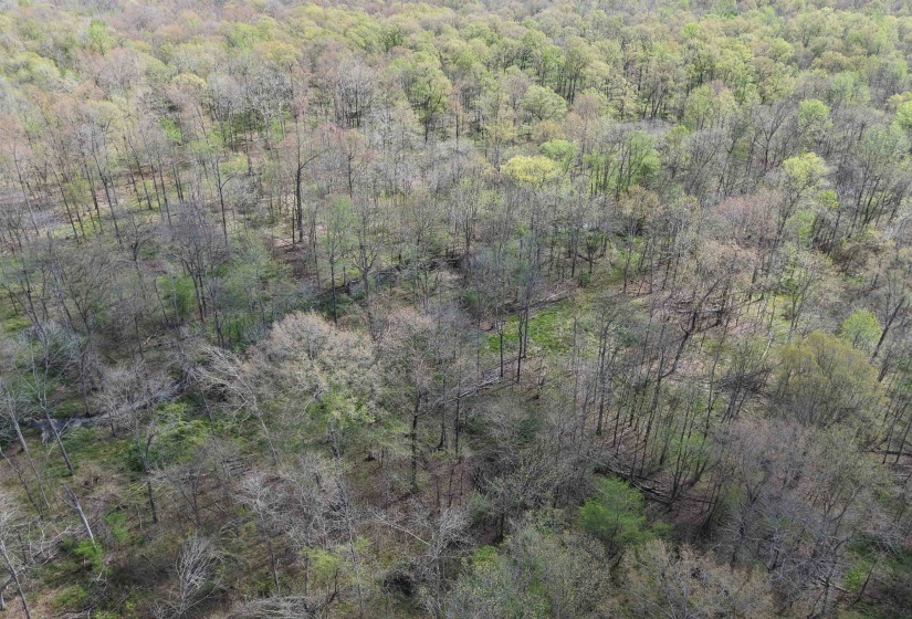 000 ESTANAULA RD, Brownsville, Tennessee 38012, ,Land,For Sale,ESTANAULA,10218565