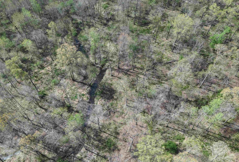 000 ESTANAULA RD, Brownsville, Tennessee 38012, ,Land,For Sale,ESTANAULA,10218565