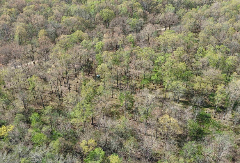 000 ESTANAULA RD, Brownsville, Tennessee 38012, ,Land,For Sale,ESTANAULA,10218565