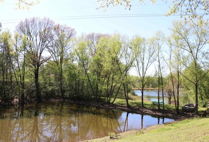 Water view
