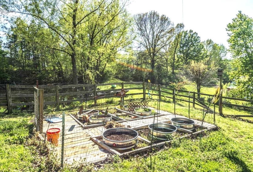 View of yard with view of wooded area