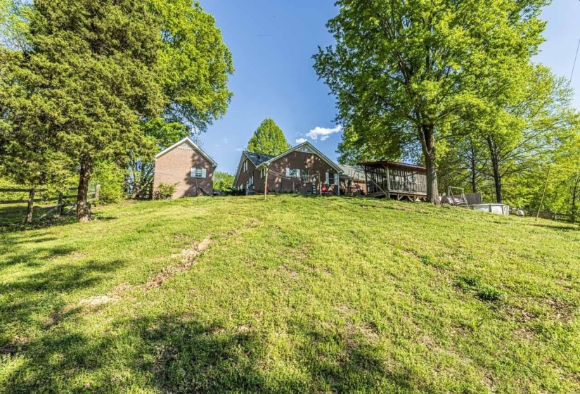 View of green lawn