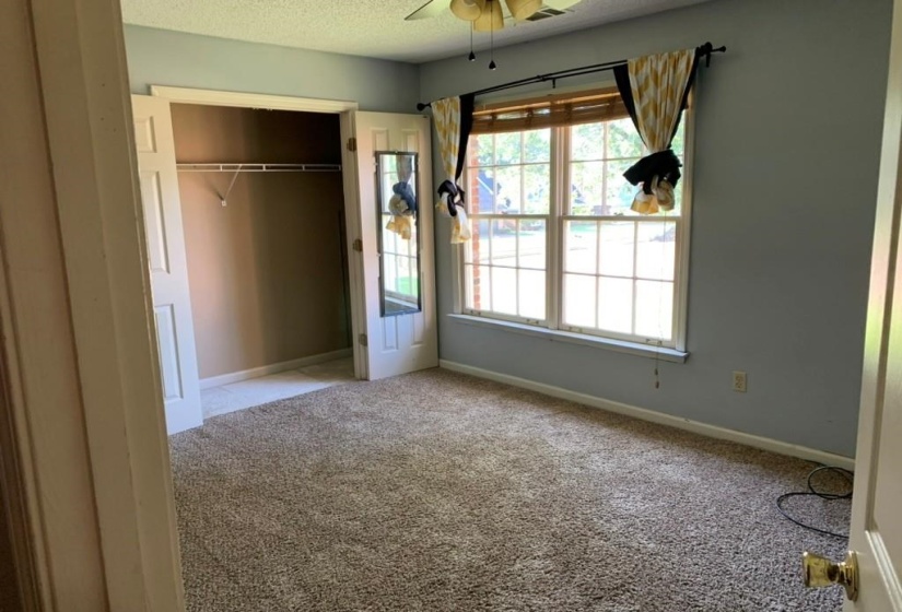 Carpeted room featuring a large window with white muntins, light blue painted walls, a ceiling fan, and a double-door closet with a built-in shelf and hanging rod