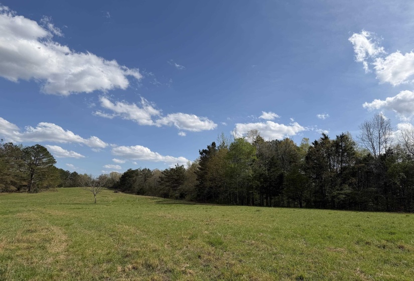 940 OLD LULA RD, Reagan, Tennessee 38368, 4 Bedrooms Bedrooms, 11 Rooms Rooms,2 BathroomsBathrooms,Residential,For Sale,OLD LULA,10218645