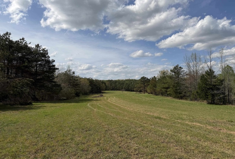 940 OLD LULA RD, Reagan, Tennessee 38368, 4 Bedrooms Bedrooms, 11 Rooms Rooms,2 BathroomsBathrooms,Residential,For Sale,OLD LULA,10218645