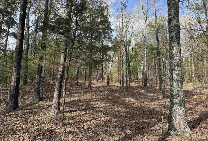 940 OLD LULA RD, Reagan, Tennessee 38368, 4 Bedrooms Bedrooms, 11 Rooms Rooms,2 BathroomsBathrooms,Residential,For Sale,OLD LULA,10218645