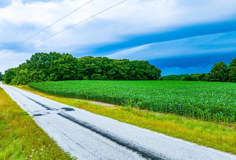 0 GEORGE BUTLER RD, Bradford, Tennessee 38316, ,Land,For Sale,GEORGE BUTLER,10218686