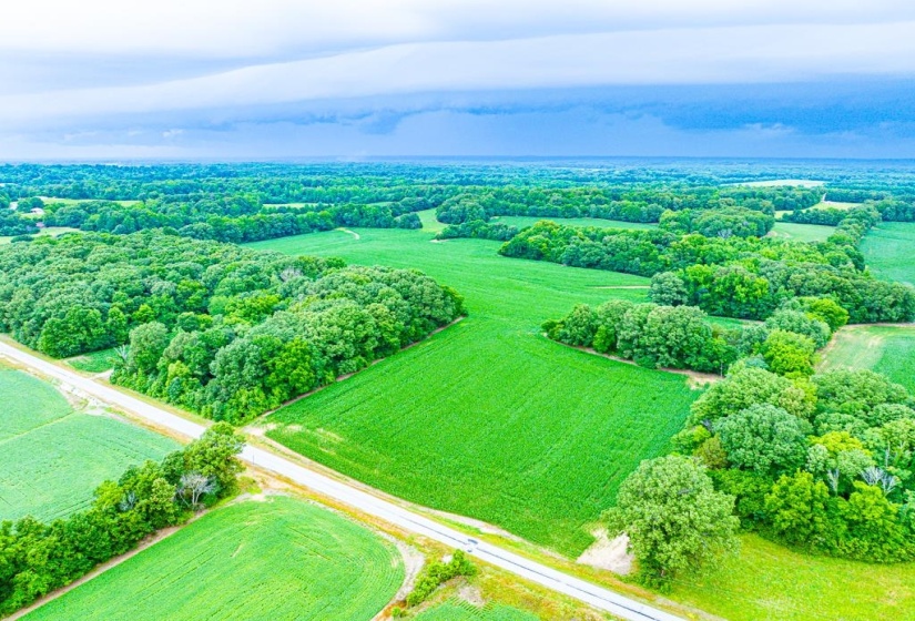 0 GEORGE BUTLER RD, Bradford, Tennessee 38316, ,Land,For Sale,GEORGE BUTLER,10218686