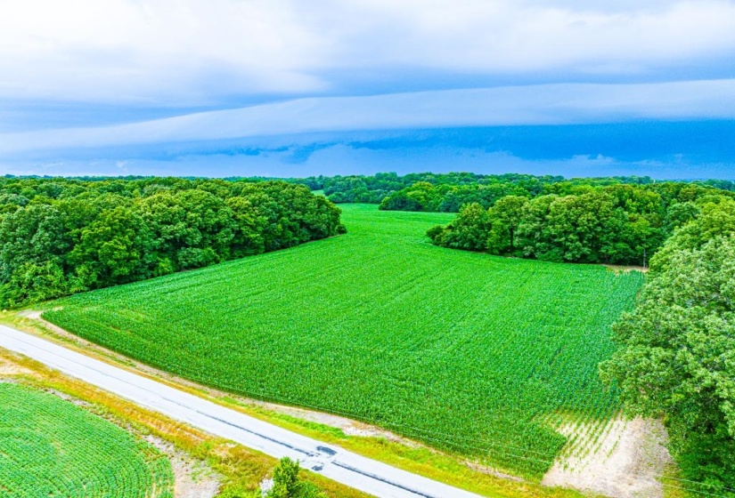 0 GEORGE BUTLER RD, Bradford, Tennessee 38316, ,Land,For Sale,GEORGE BUTLER,10218686