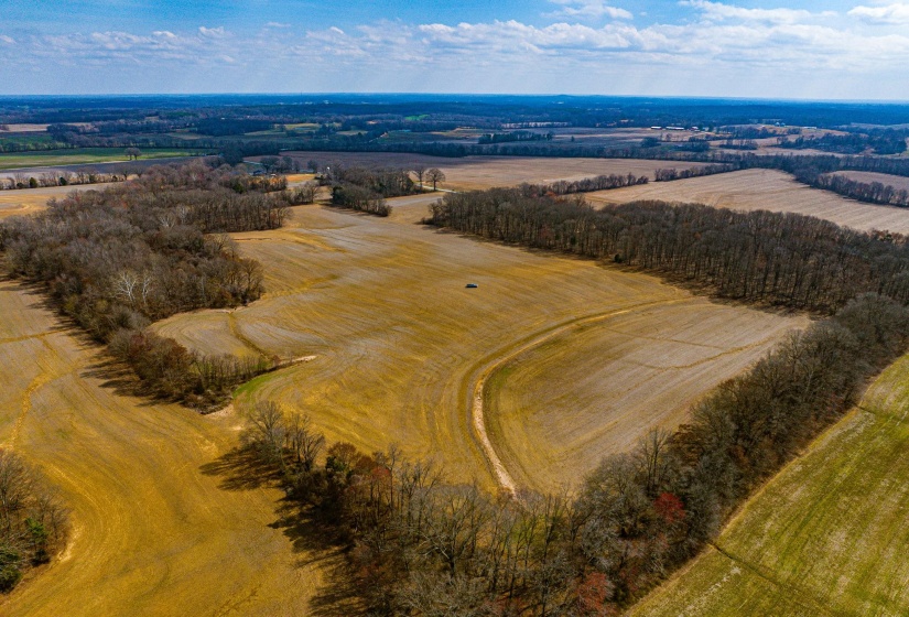 0 GEORGE BUTLER RD, Bradford, Tennessee 38316, ,Land,For Sale,GEORGE BUTLER,10218686