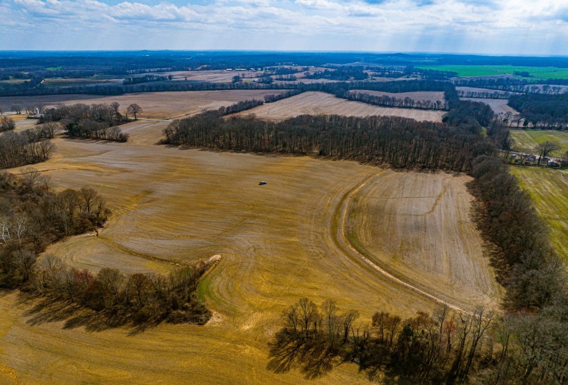 0 GEORGE BUTLER RD, Bradford, Tennessee 38316, ,Land,For Sale,GEORGE BUTLER,10218686