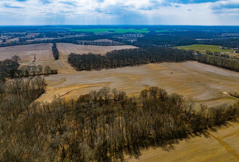 0 GEORGE BUTLER RD, Bradford, Tennessee 38316, ,Land,For Sale,GEORGE BUTLER,10218686