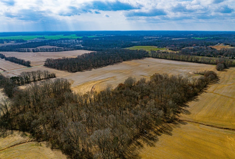 0 GEORGE BUTLER RD, Bradford, Tennessee 38316, ,Land,For Sale,GEORGE BUTLER,10218686