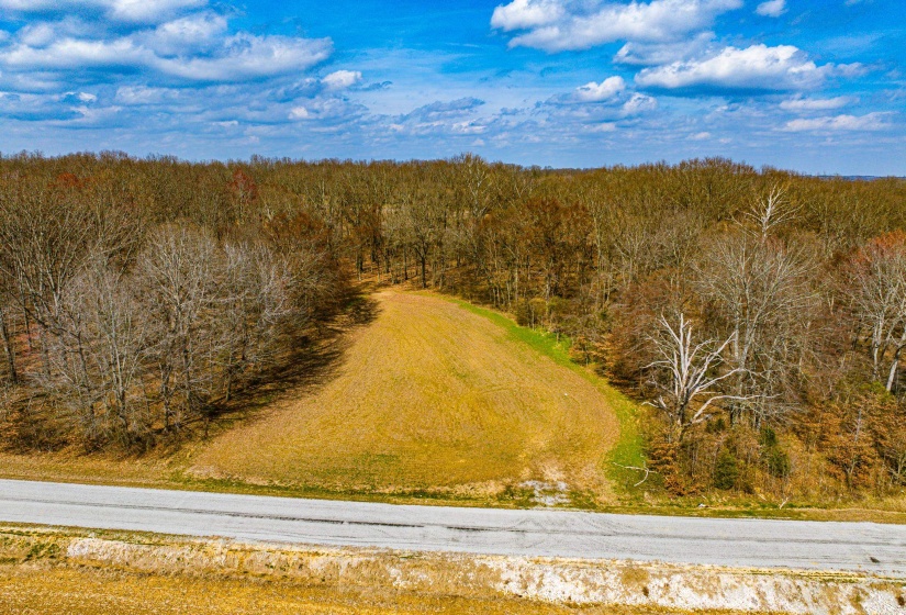 0 GEORGE BUTLER RD, Bradford, Tennessee 38316, ,Land,For Sale,GEORGE BUTLER,10218686