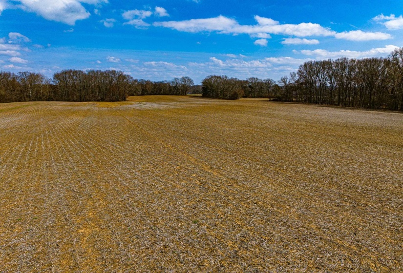 0 GEORGE BUTLER RD, Bradford, Tennessee 38316, ,Land,For Sale,GEORGE BUTLER,10218686