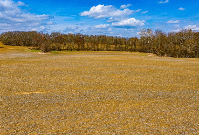 0 GEORGE BUTLER RD, Bradford, Tennessee 38316, ,Land,For Sale,GEORGE BUTLER,10218686