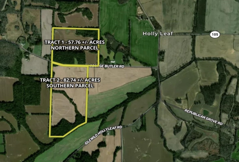 0 GEORGE BUTLER RD, Bradford, Tennessee 38316, ,Land,For Sale,GEORGE BUTLER,10218686