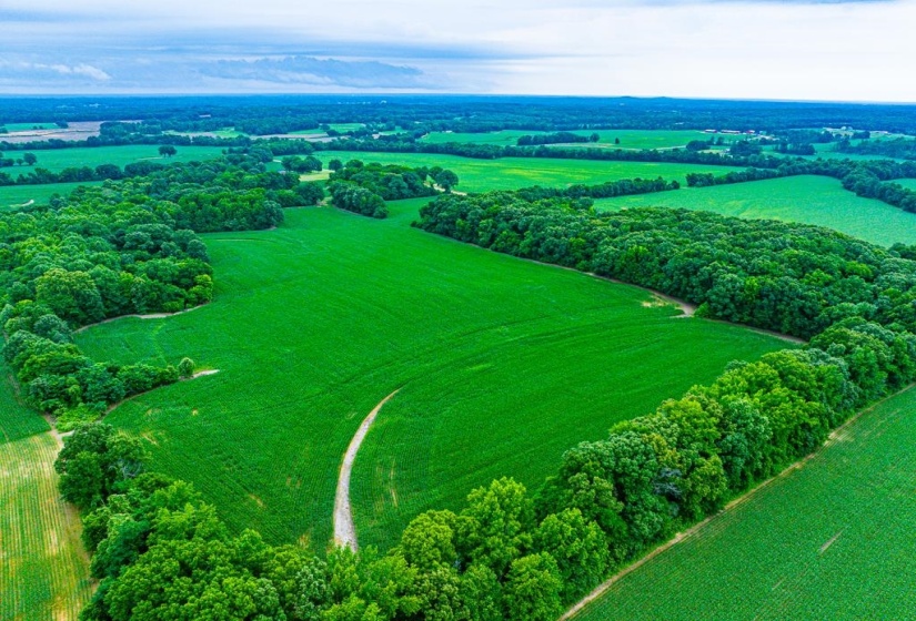 0 GEORGE BUTLER RD, Bradford, Tennessee 38316, ,Land,For Sale,GEORGE BUTLER,10218686