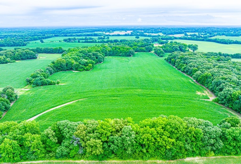 0 GEORGE BUTLER RD, Bradford, Tennessee 38316, ,Land,For Sale,GEORGE BUTLER,10218686