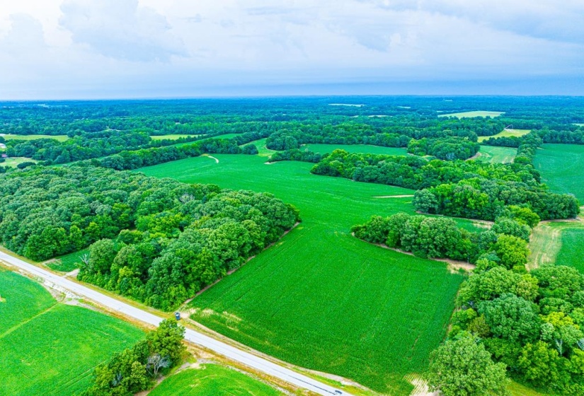 0 GEORGE BUTLER RD, Bradford, Tennessee 38316, ,Land,For Sale,GEORGE BUTLER,10218686
