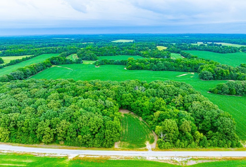0 GEORGE BUTLER RD, Bradford, Tennessee 38316, ,Land,For Sale,GEORGE BUTLER,10218686