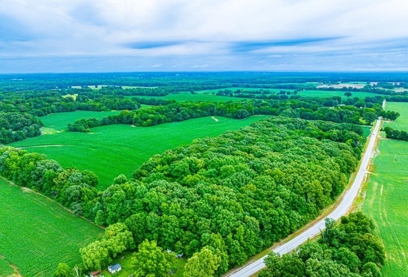 0 GEORGE BUTLER RD, Bradford, Tennessee 38316, ,Land,For Sale,GEORGE BUTLER,10218686