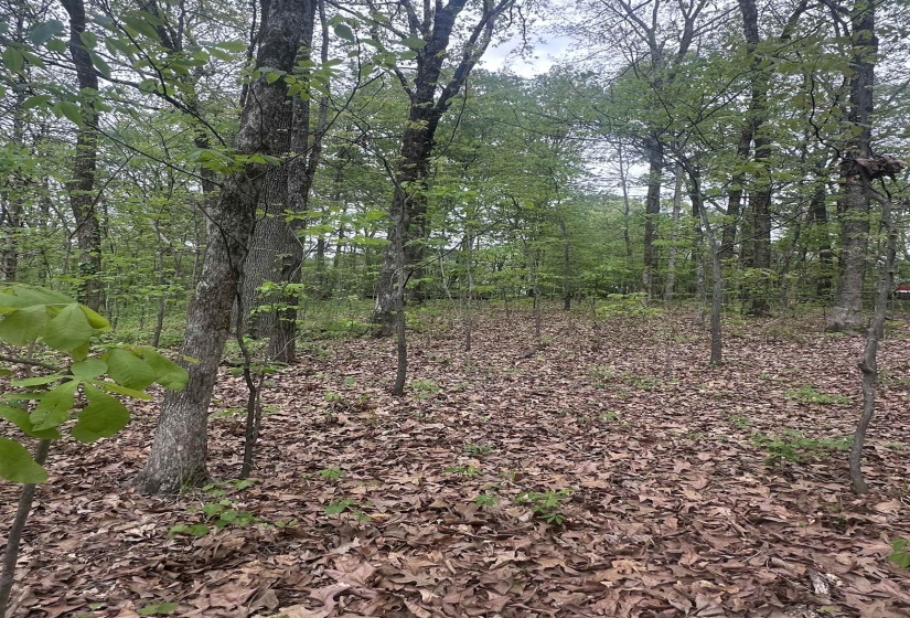 8768/8750 BOB WHITE DR, Hernando, Mississippi 38632, 0 , 0 ,0,Land,For Sale,BOB WHITE,0,10218716