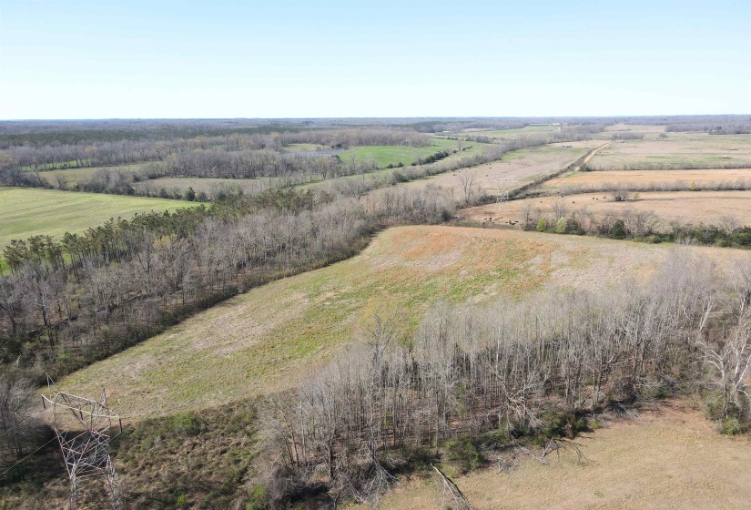 5208 57 HWY, Michie, Tennessee 38357, ,Land,For Sale,57,10218717