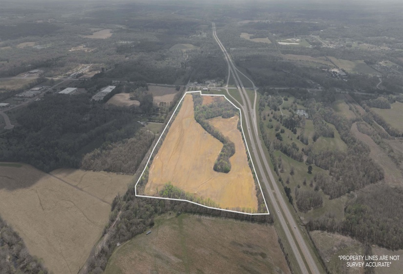 3131 US 64 HWY, Arlington, Tennessee 38002, ,Land,For Sale,US 64,10218748