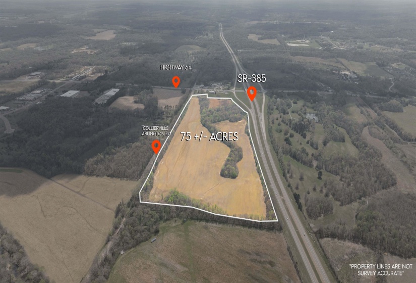 3131 US 64 HWY, Arlington, Tennessee 38002, ,Commercial/industrial,For Sale,US 64,10218749